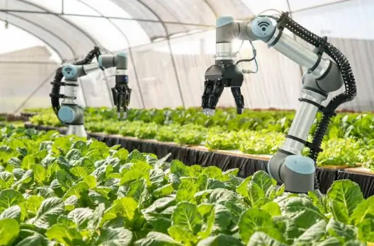 How Technology Is Driving Agricultural Innovation